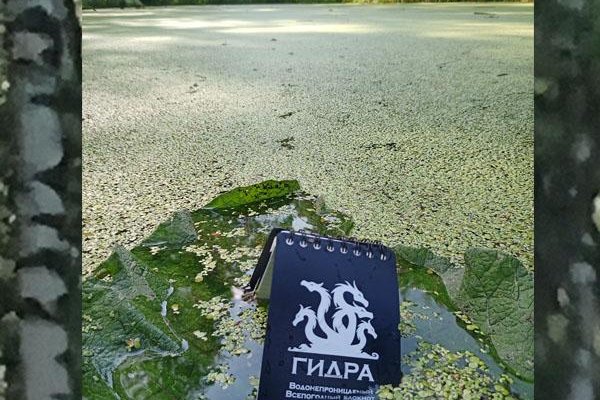Кракен рабочая ссылка на сайт