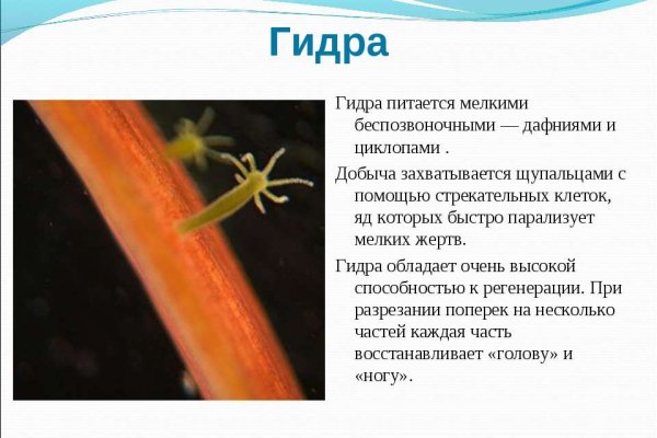 Через какой браузер зайти на кракен