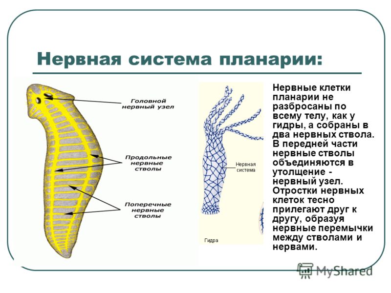 Пользователь не найден при входе на кракен