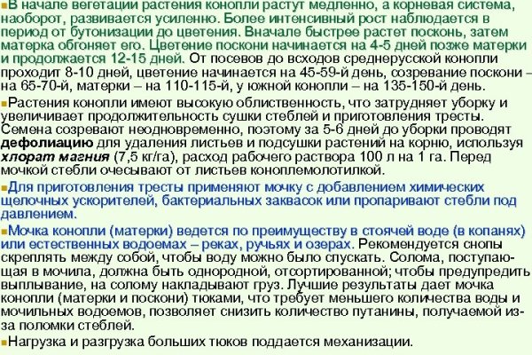 Почему не могу зайти на кракен