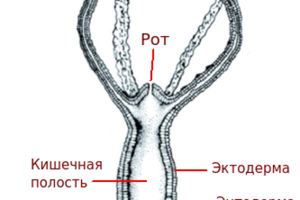 Кракен ссылка на сайт