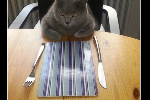 Как купить наркотик в кракен