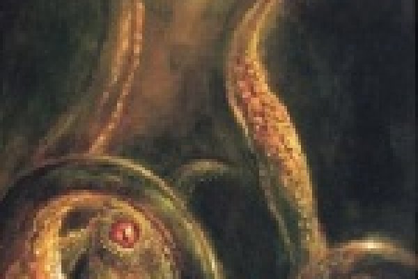 Войти даркнет