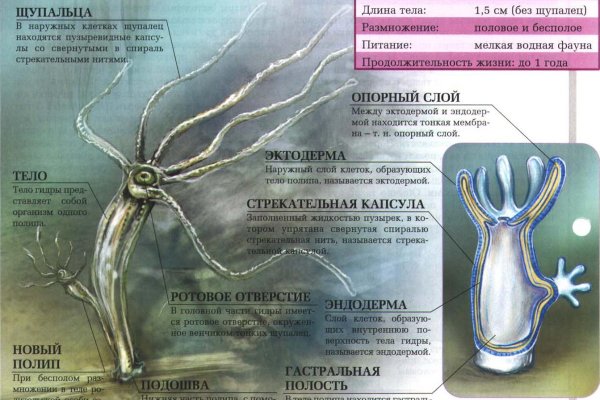 Сайты продаж наркотиков